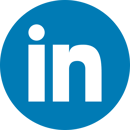 LI icon